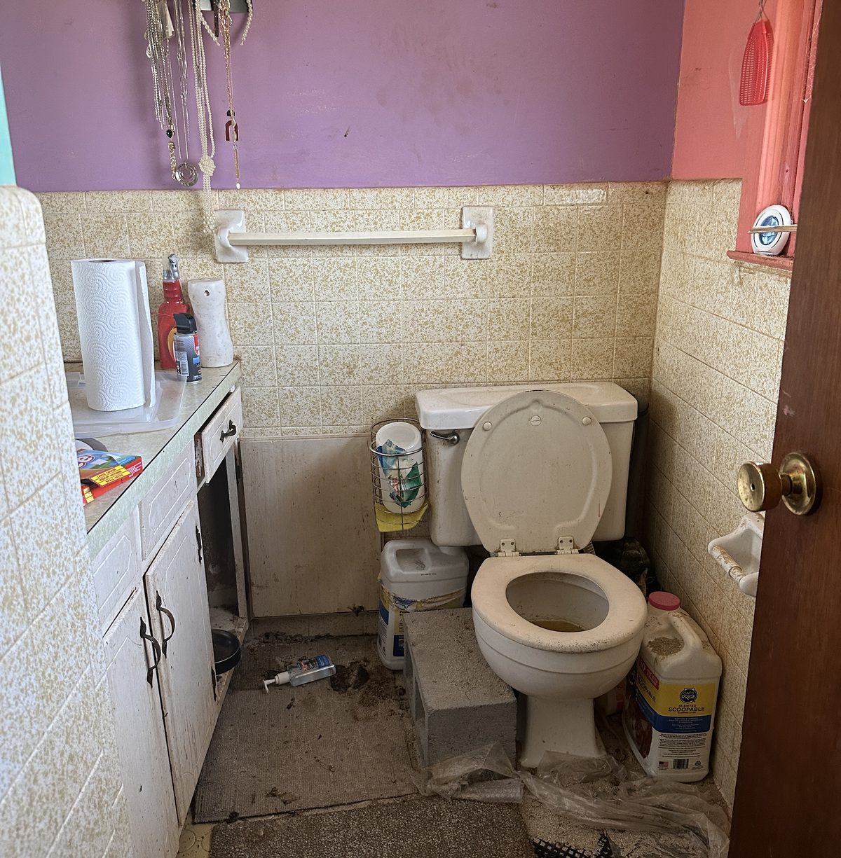 Anderson SC bathroom before renovation by Elevation Home Partners